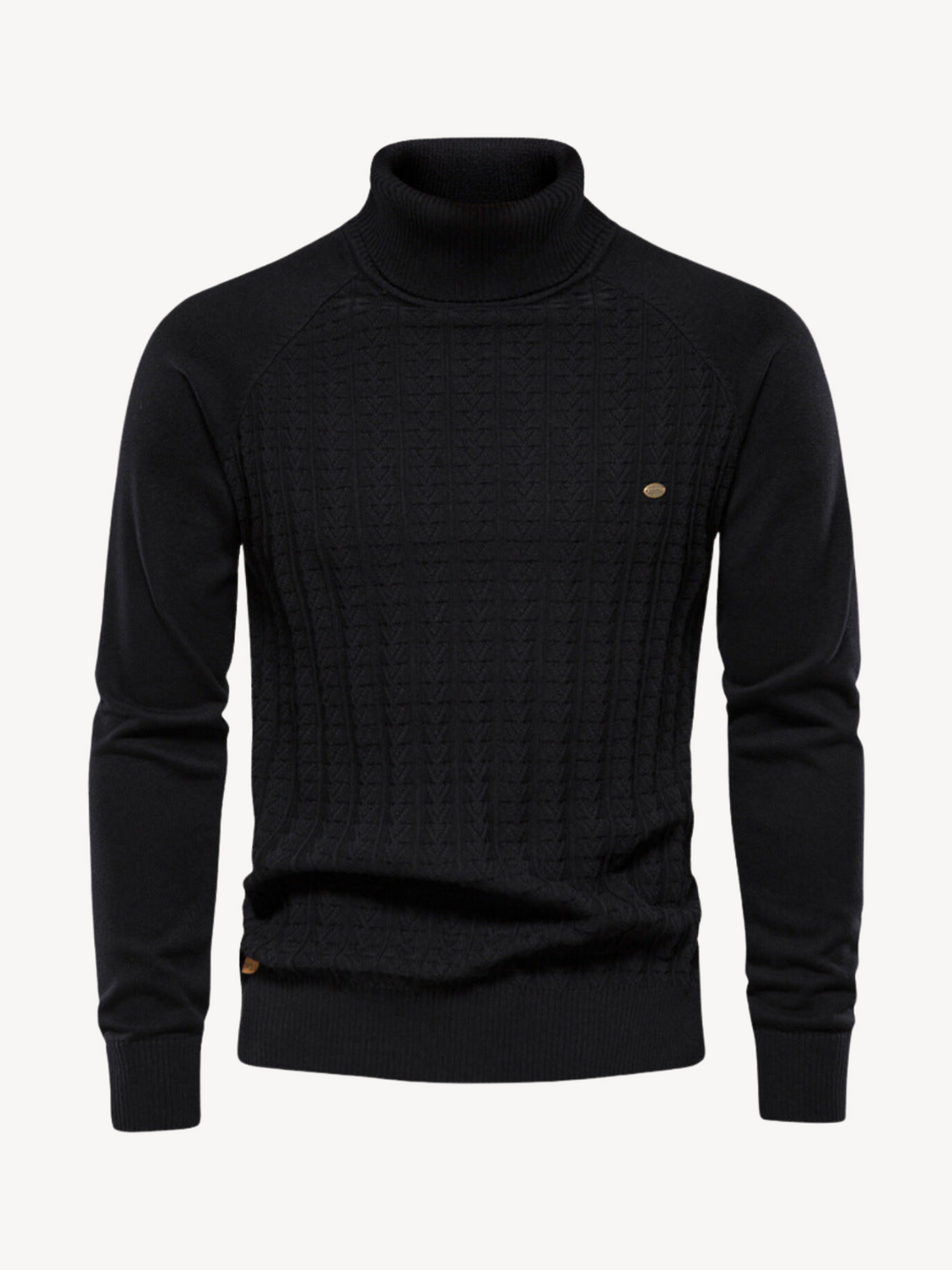 RINALDO - KNITTED TURTLE NECK